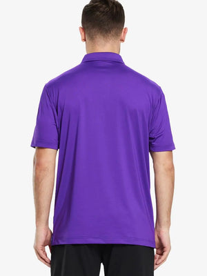 Back half-body view of male model wearing the Purple Everyday Classic Solid Polo