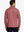 Back half-body view of model in Pinstripe Quarter Zip Pullover, showing back detail – BRICK MELANGE