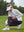 Woman adjusting ankle zip on Women's Ultra-stretch Quick Dry Sweatpants with Ankle Zips in dark purple on golf course